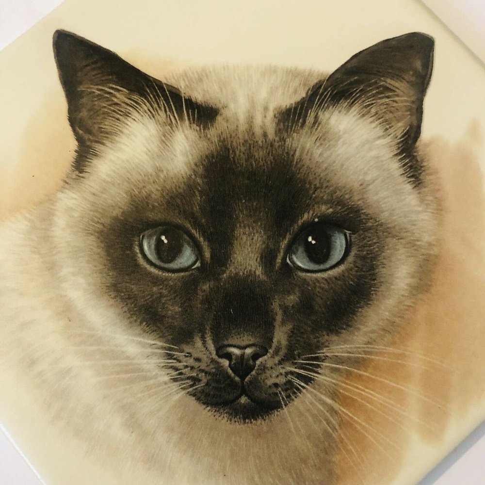 Siamese Cat Hand Painted Decorative Tile Octagon Shape Matte Finish Cork Back